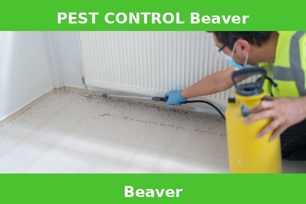 PEST CONTROL Beaver